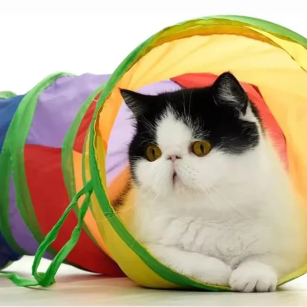 Hot Cat Tunnel Pet Tube Collapsible Play Toy Indoor Outdoor Kitty Puppy Toys for Puzzle Exercising Hiding Training Pet Toys - Image 5