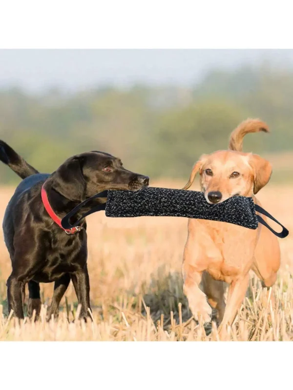 1pc Dog Bite Stick Enhances Effective Training- Comfortable Handle For Interactive Play, Grinding Teeth, And Chew Training - Image 2