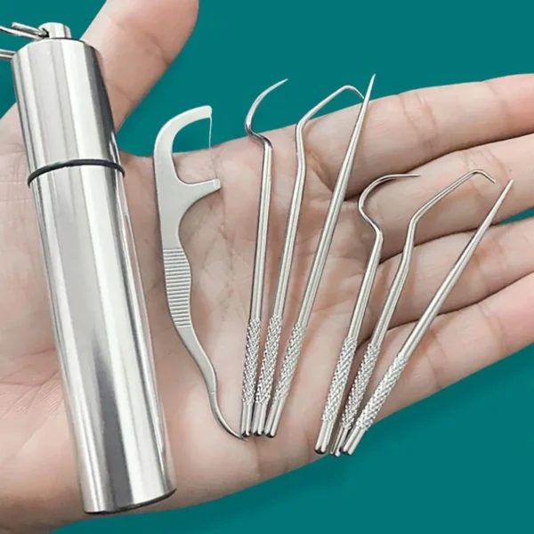 1set-Stainless Steel Toothpick Set Tooth Flossing Reusable Toothpicks Portable Toothpick Floss Teeth Cleaner Oral Cleaning - Image 1