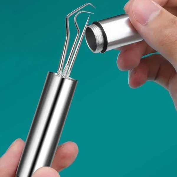 1set-Stainless Steel Toothpick Set Tooth Flossing Reusable Toothpicks Portable Toothpick Floss Teeth Cleaner Oral Cleaning - Image 6