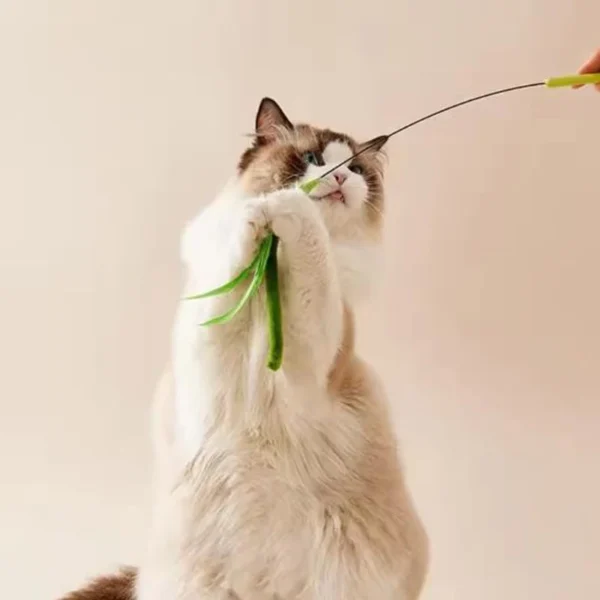Cat toys, dog tail grass teasing cat pole feather pole wire cat toys, feather pole, flexible wire durable pet supplies - Image 4