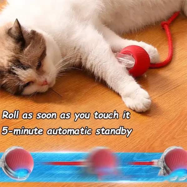 Hot cat toys are automatically teasing cat balls and self-exciting cat sticks and ticks and resistant to wear and bite pet toys - Image 3