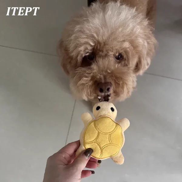 Dog Toy Mini Turtle Plush Chew Toy for Puppies Teething Relief Interactive Bite Resistant Dog Toy Dental Health Safe Fun Play - Image 2