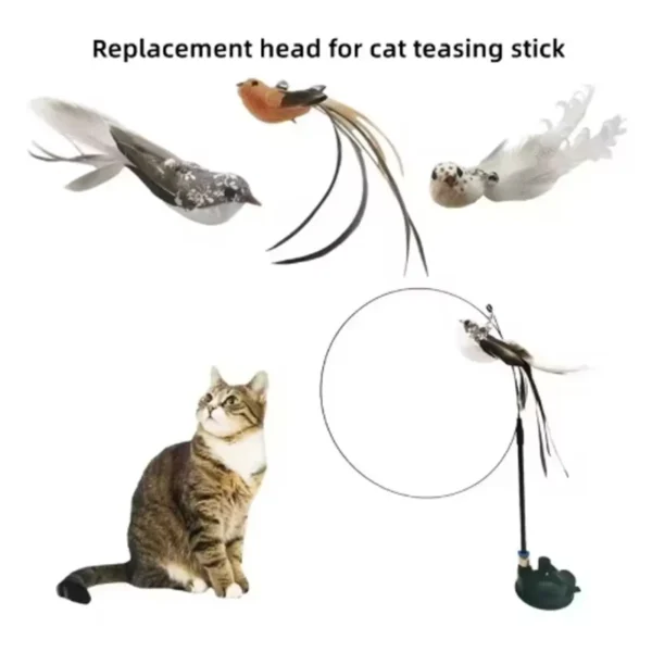 Cat toys cat self-sexy feather suction cup teasing cat stick with bell bird replacement head resistant to bite pet toys - Image 2