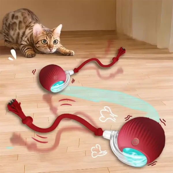 Hot cat toys are automatically teasing cat balls and self-exciting cat sticks and ticks and resistant to wear and bite pet toys - Image 7