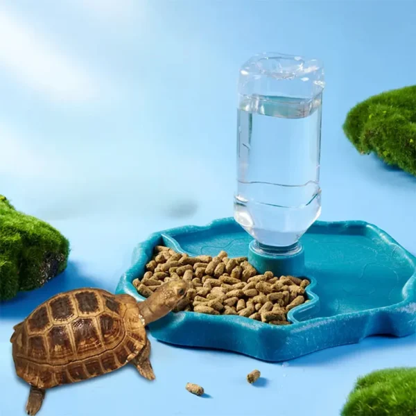 1pc - Reptile Feeder, Turtle Food Dish, Small Pet Bowl For Reptiles And Amphibians, Removable, Easy-Clean,Small Pet Supplies - Image 6