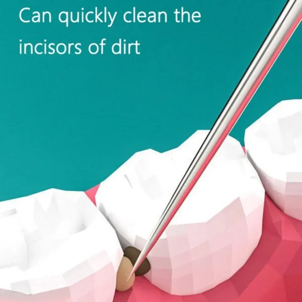 1set-Stainless Steel Toothpick Set Tooth Flossing Reusable Toothpicks Portable Toothpick Floss Teeth Cleaner Oral Cleaning - Image 2