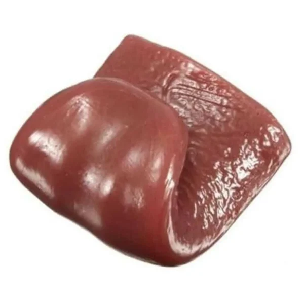 1PC-Hot Horror Funny Tricks Whole Person False Simulation Rubber Tongue Prank Maker Trick Kids Boy Toys Halloween Prank Silicone - Image 2