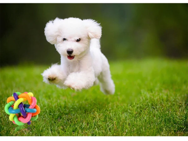 Colorful Bell Woven Toy Popular Dog Bite Resistant Rubber Pet Chewing Playing Fetching Nice Ball Products - Image 6