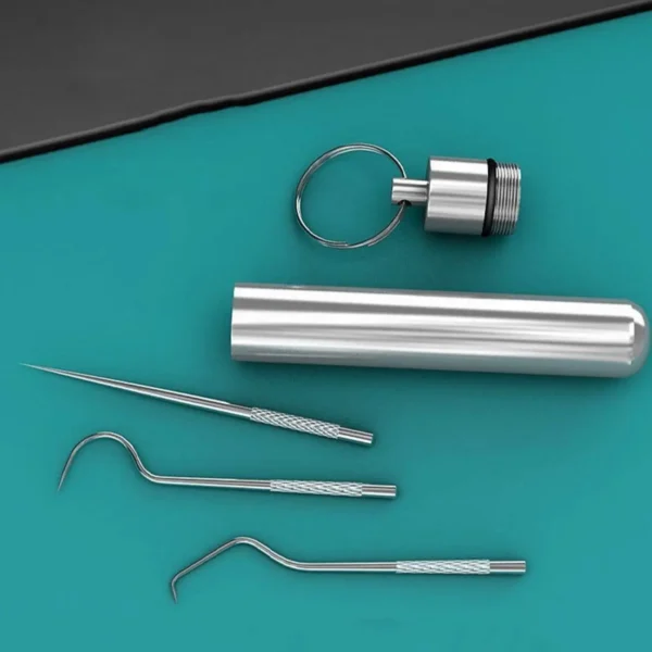 1set-Stainless Steel Toothpick Set Tooth Flossing Reusable Toothpicks Portable Toothpick Floss Teeth Cleaner Oral Cleaning - Image 5