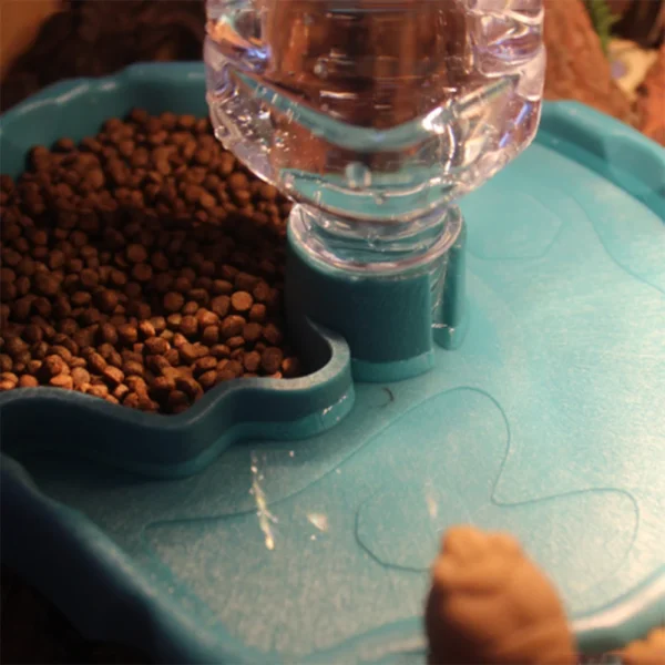 1pc - Reptile Feeder, Turtle Food Dish, Small Pet Bowl For Reptiles And Amphibians, Removable, Easy-Clean,Small Pet Supplies - Image 3