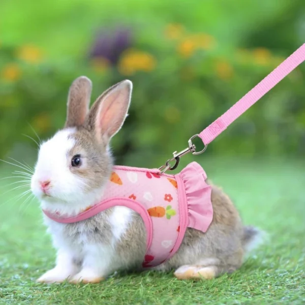 Rabbit Harness with Leash Cute Adjustable Buckle Breathable Mesh Vest Skirt for Bunny Guinea Pig Small Pet Traction Harness Suit - Image 7