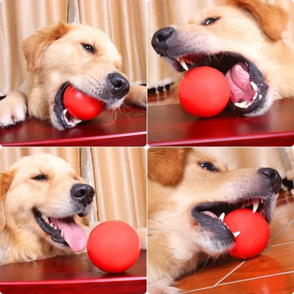 Hard Solid Rubber Balls for Dog Bite Resistant and Indestructible Dog Training Ball Pet Chew Play Fetch Bite Toy TPR Bouncy Ball - Image 2