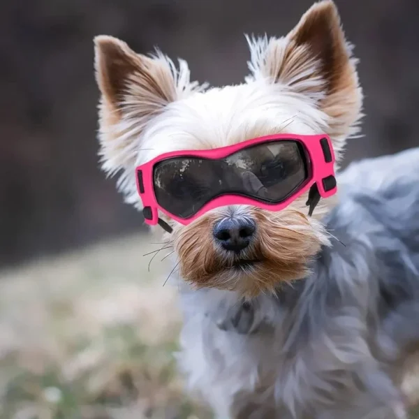 UV Protective Goggles for Dogs Cat Sunglasses Cool Protection Eyewear for Small Medium Dogs Outdoor Riding Pets Accessorie - Image 7