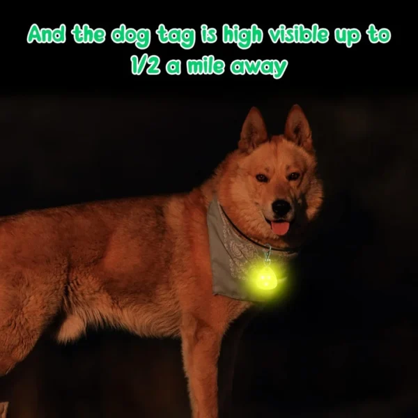 LED Pet Pendant Collar Waterproof Dog Collar Light for Outdoor Walking Safety Silicone LED Dog Collar - Image 6