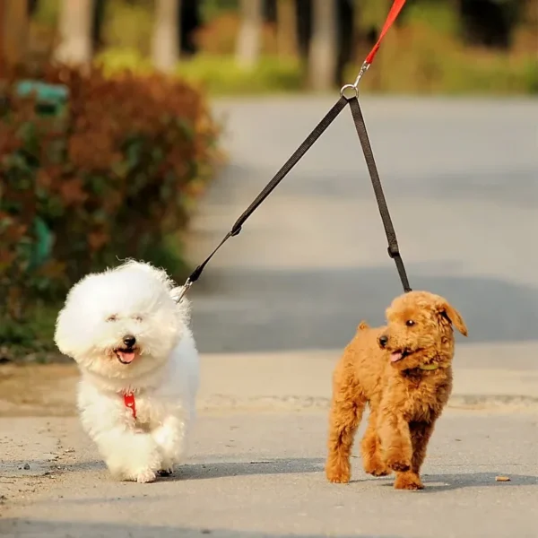 Outdoor Walking Two Dogs Leash Coupler Double Twin Lead Walking Leashes Dog Harness Dog Accessories Supplies - Image 2