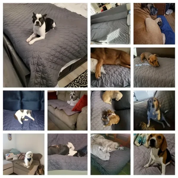 Double-Sided Waterproof Dog Bed Cover Pet Blanket Sofa Couch Furniture Protector For Dogs - Image 6