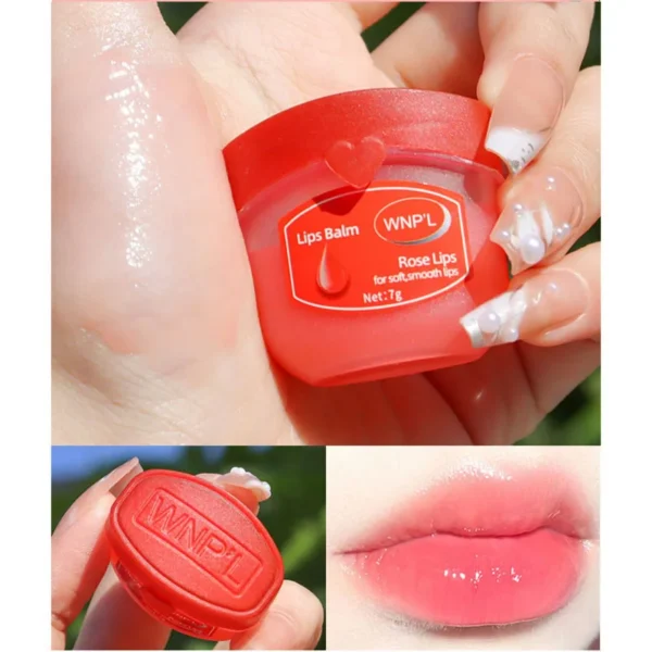 New 4/6/8pcs Moisturizing Lip Balm Sets Lipstick Makeup Natural Plant Base Moisturizer Lip Balm Anti-Cracking Lips Skin Care - Image 6