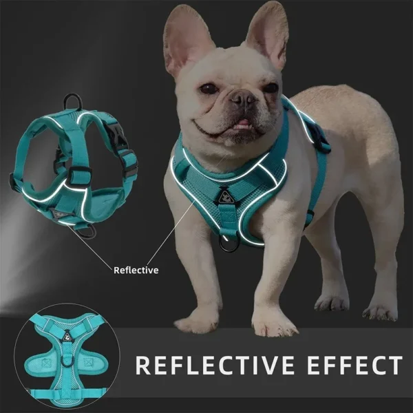 No Pull Dog Harness and Leash Set Adjustable Pet Harness Vest for Small Dogs Cats Reflective Dog Chest Strap Lead Walking - Image 5