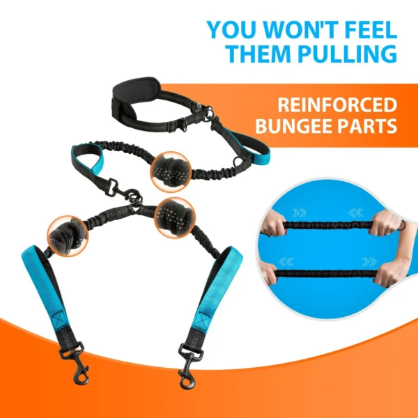 Explosion-Proof Short Elastic Buffer Pet Leash One-Hand Drag Two-Walking Rope Running Dog Accessories for Small Large Dogs - Image 2