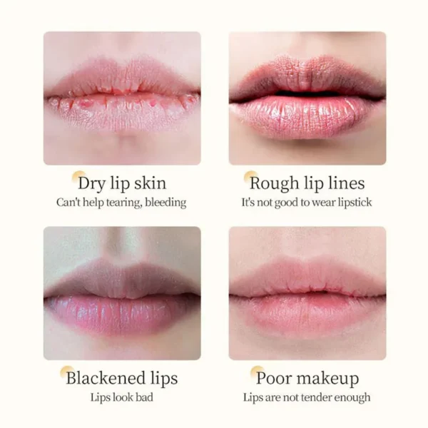 BIOAQUA Vitamin E Honey Lip Balm Moisturizing Anti Cracking Nourishing Nourishing Lipstick Lips Skin Care Products - Image 4