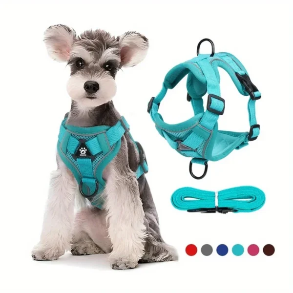 No Pull Dog Harness and Leash Set Adjustable Pet Harness Vest for Small Dogs Cats Reflective Dog Chest Strap Lead Walking - Image 1