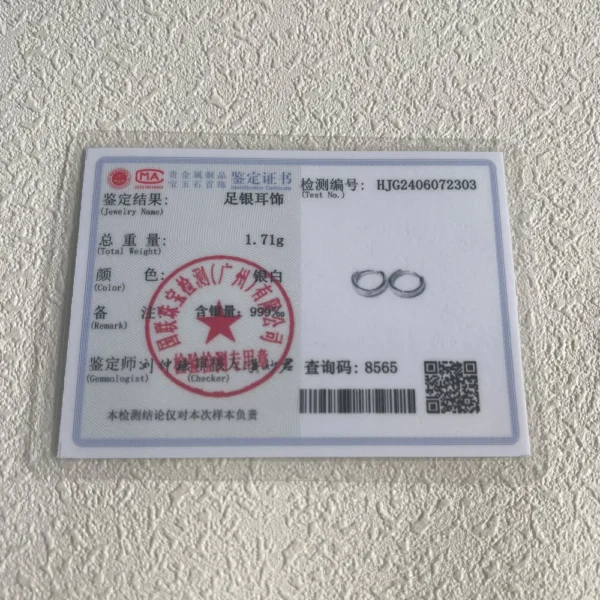 925 Sterling Silver Vintage Shinning Round Earrings For Women Trendy Earring Jewelry Prevent Allergy Party Accessories Gift - Image 6