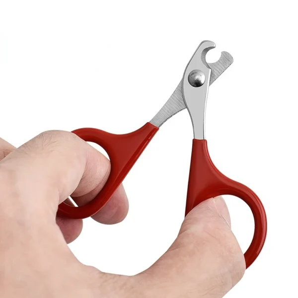Professional Cat Nail Scissors Pet Dog Nail Clippers Toe Claw Trimmer Pet Grooming Supplies Products for Small Dogs Dog Gadgets - Image 4