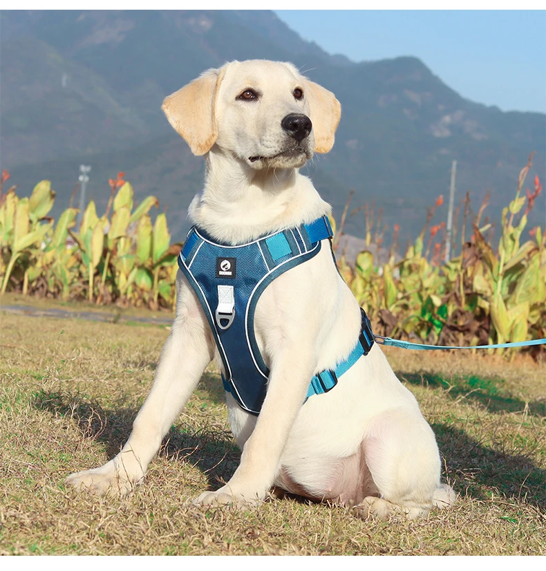 kf-S84e99087836d43d6b25e2151dda3a9b7U Medium Large Dog Harnesses Collar Labrador Army Reflective Adjustable Harness Oxford Cloth Pet Vest Training Hound Walk the Dog - Image 1