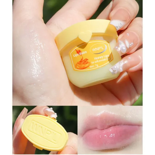 New 4/6/8pcs Moisturizing Lip Balm Sets Lipstick Makeup Natural Plant Base Moisturizer Lip Balm Anti-Cracking Lips Skin Care - Image 5