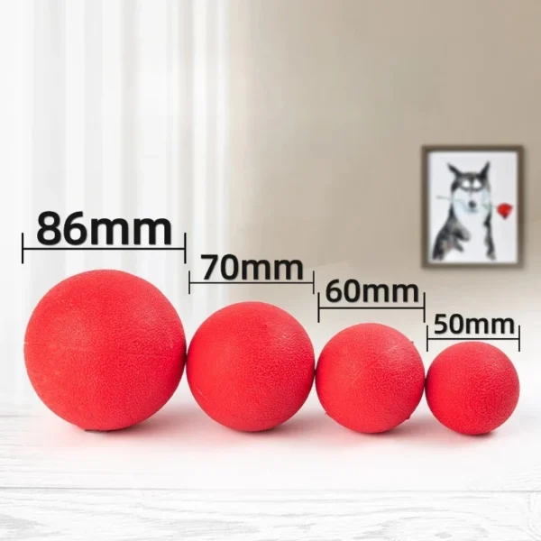 Hard Solid Rubber Balls for Dog Bite Resistant and Indestructible Dog Training Ball Pet Chew Play Fetch Bite Toy TPR Bouncy Ball - Image 3