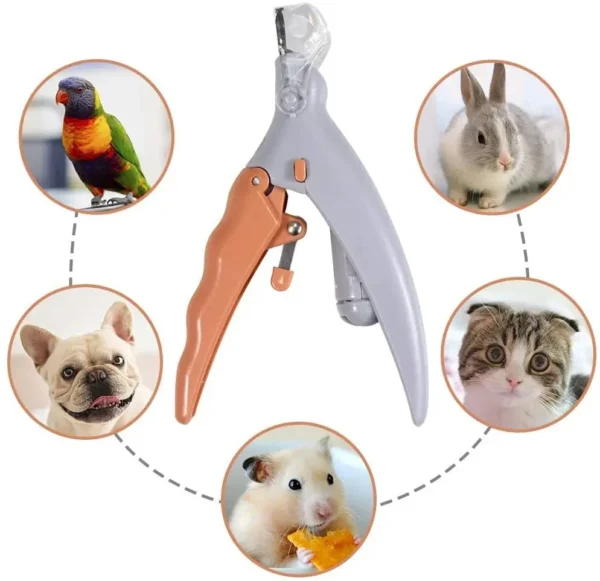 Professional Pet Nail Clipper Scissors With LED Light Cat Dog Nail Clippers Tool Scissors Nail Toeclaw Cutter Scissors Pet Suppl - Image 2