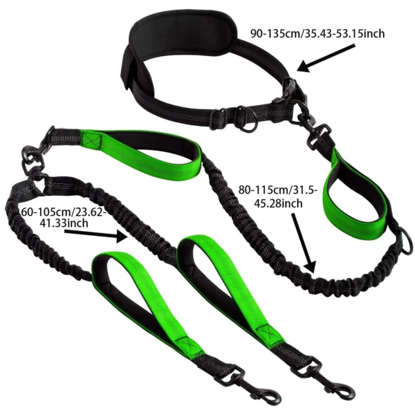 Explosion-Proof Short Elastic Buffer Pet Leash One-Hand Drag Two-Walking Rope Running Dog Accessories for Small Large Dogs - Image 3
