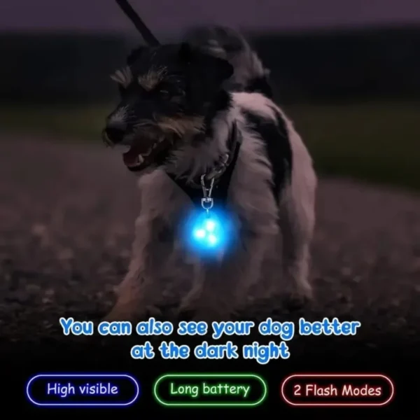 LED Pet Pendant Collar Waterproof Dog Collar Light for Outdoor Walking Safety Silicone LED Dog Collar - Image 2