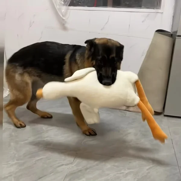 Large Plush White Duck Dog Toys Realistic Goose Design Dolls Suitable for Dogs Chew and Play Best Pet Supplies - Image 5