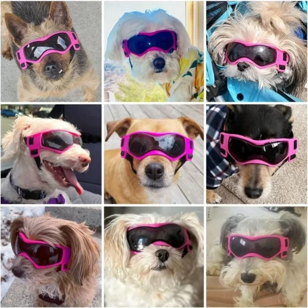 UV Protective Goggles for Dogs Cat Sunglasses Cool Protection Eyewear for Small Medium Dogs Outdoor Riding Pets Accessorie - Image 3