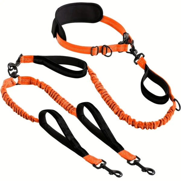 Explosion-Proof Short Elastic Buffer Pet Leash One-Hand Drag Two-Walking Rope Running Dog Accessories for Small Large Dogs - Image 5