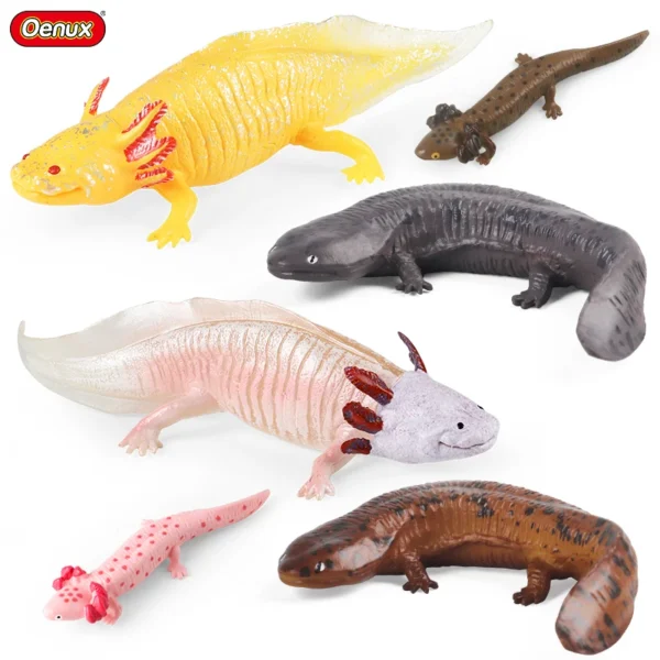 Oenux Amphibians Aquatic Animal Newt Salamander Cryptobranchoidea Animals Model Action Figure Education Cute Kids Toy Gift Oenux Amphibians Aquatic Animal Newt Salamander Cryptobranchoidea Animals Model Action Figure Education Cute Kids Toy Gift - Image 1