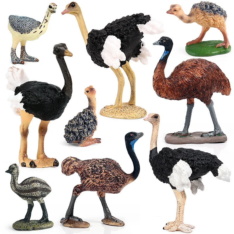 Oenux Garden Bird Figurines Common Ostrich Struthio Animals Model PVC Action Figures Collection Toys For Kids Birthday Gift Oenux Garden Bird Figurines Common Ostrich Struthio Animals Model PVC Action Figures Collection Toys For Kids Birthday Gift - Image 1