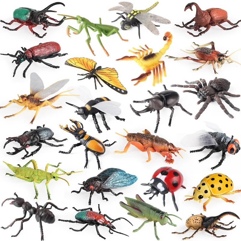 Oenux Insect Animals Model Figurine Butterfly Ant Dragonfly Spider Bee Mantis Scorpion Action Figures Educational Kid Toy Gift Oenux Insect Animals Model Figurine Butterfly Ant Dragonfly Spider Bee Mantis Scorpion Action Figures Educational Kid Toy Gift - Image 1