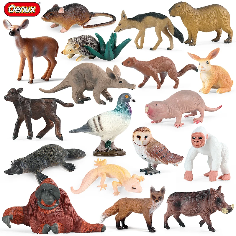 Oenux New Wild Animals Forest Orangutan Pigeon Hedgehog Aardvark Capybara Action Figure Model Figurines PVC Collection Kids Toy Oenux New Wild Animals Forest Orangutan Pigeon Hedgehog Aardvark Capybara Action Figure Model Figurines PVC Collection Kids Toy - Image 1