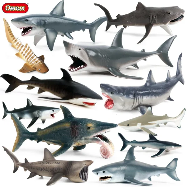Oenux Ocean Animals Action Figures Sealife Shark Whare Megalodon Model Figurines PVC Home Decoration Kid Cognitive Education Toy Oenux Ocean Animals Action Figures Sealife Shark Whare Megalodon Model Figurines PVC Home Decoration Kid Cognitive Education Toy - Image 1