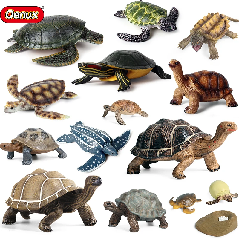 Oenux Ocean Animals Leatherback Tortoise Turtle Growth Cycle Sea Life Model Figurines Action Figures PVC Education Kid Toy Gift Oenux Ocean Animals Leatherback Tortoise Turtle Growth Cycle Sea Life Model Figurines Action Figures PVC Education Kid Toy Gift - Image 1