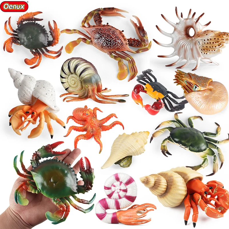 Oenux Ocean Animals Simulation Hermit Crab Nautiloidea Octopus Sea Life Model Figurines Action Figures Collection Kids Toy Gift Oenux Ocean Animals Simulation Hermit Crab Nautiloidea Octopus Sea Life Model Figurines Action Figures Collection Kids Toy Gift - Image 1