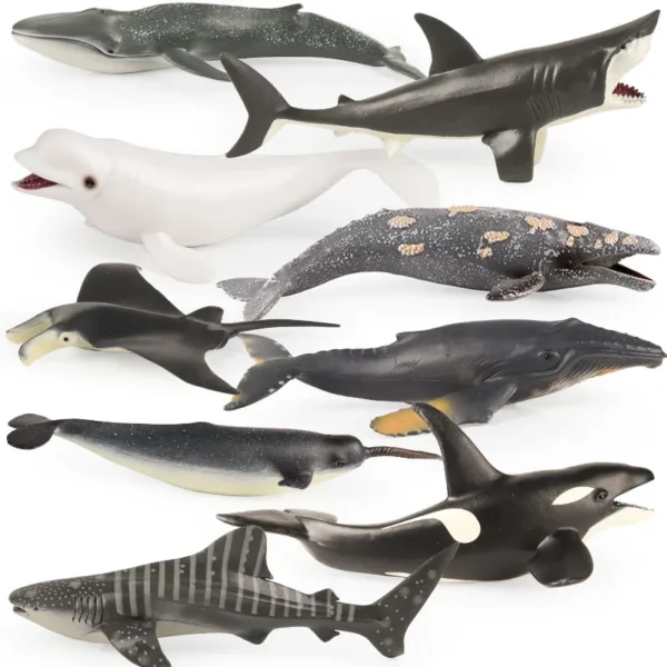 Oenux Sea Life Model Great White Shark Dolphin Megalodon Whale Action Figure Ocean Marine Animals PVC Education Kids Toy Gift Oenux Sea Life Model Great White Shark Dolphin Megalodon Whale Action Figure Ocean Marine Animals PVC Education Kids Toy Gift - Image 1