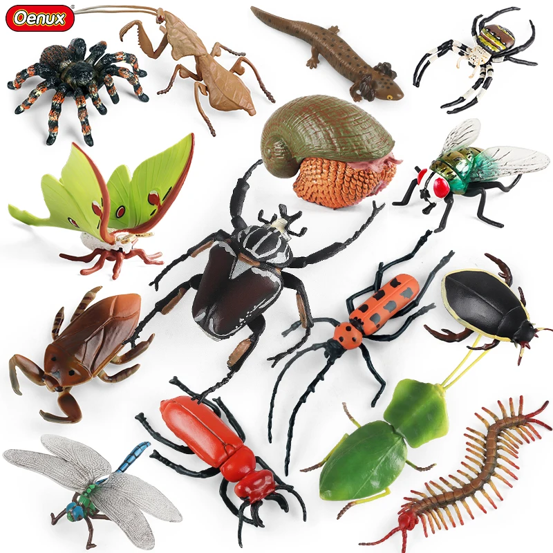 Oenux Simulation Dragonfly Grasshopper Centipede Wild Insect Animals Model Action Figures Miniature Education Collection Kid Toy Oenux Simulation Dragonfly Grasshopper Centipede Wild Insect Animals Model Action Figures Miniature Education Collection Kid Toy - Image 1