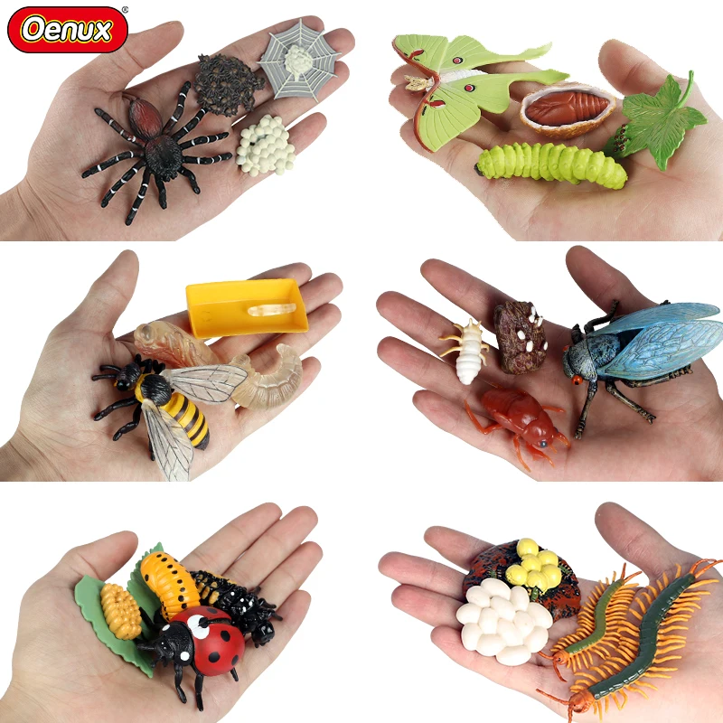 Oenux Simulation Luna Moth Salmon Butterfly Ants Life Growth Cycle Animals Model Action Figures Educational Miniature Kids Toy Oenux Simulation Luna Moth Salmon Butterfly Ants Life Growth Cycle Animals Model Action Figures Educational Miniature Kids Toy - Image 1