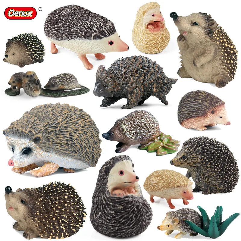 Oenux Simulation Wild Jungle Forest Animals Hedgehog Model Action Figures Cake Topper Party Favor Cute Education Kid Toy Gift Oenux Simulation Wild Jungle Forest Animals Hedgehog Model Action Figures Cake Topper Party Favor Cute Education Kid Toy Gift - Image 1