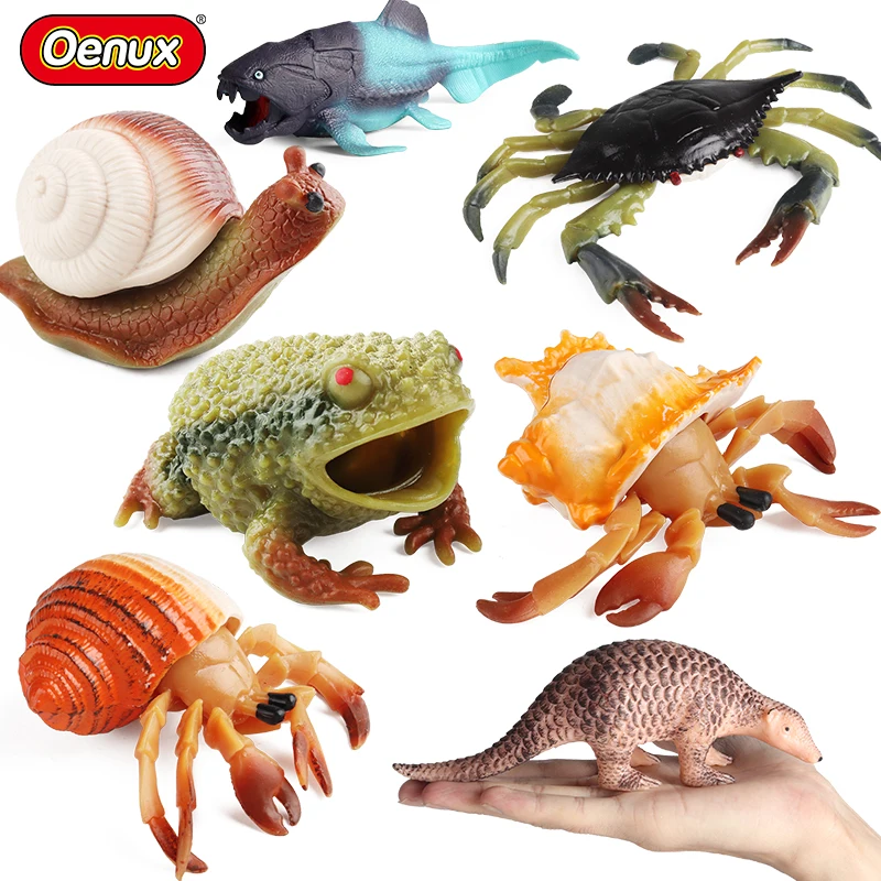 Oenux Squid Hermit Crab Pufferfish Octopus Frog Snails Lizard Animals Model Action Figures Educational Toy Kids Gift Oenux Squid Hermit Crab Pufferfish Octopus Frog Snails Lizard Animals Model Action Figures Educational Toy Kids Gift - Image 1