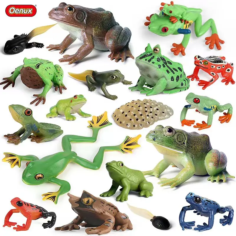Oenux Wild Animals Bullfrog Model Simulation Tadpole Hatch Frog Growth Cycle Action Figures PVC Cute Educational Toys Kids Gift Oenux Wild Animals Bullfrog Model Simulation Tadpole Hatch Frog Growth Cycle Action Figures PVC Cute Educational Toys Kids Gift - Image 1